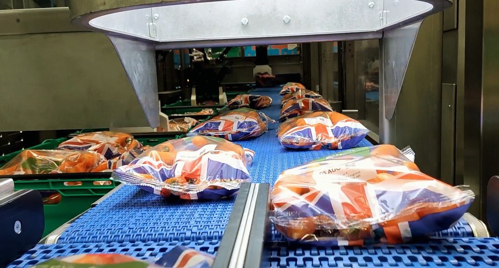 Automated punnet packing line for fresh produce