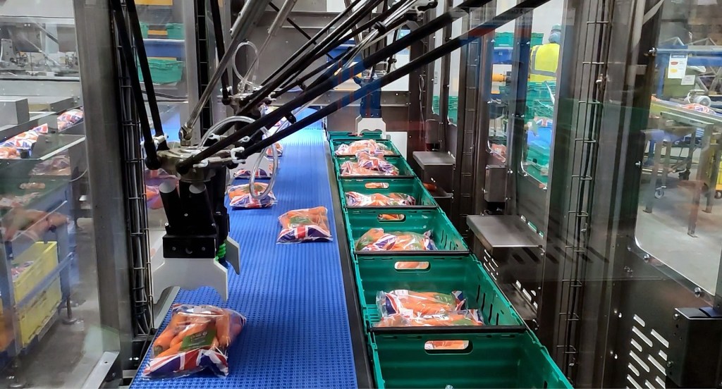 Efficient automated punnet packing system