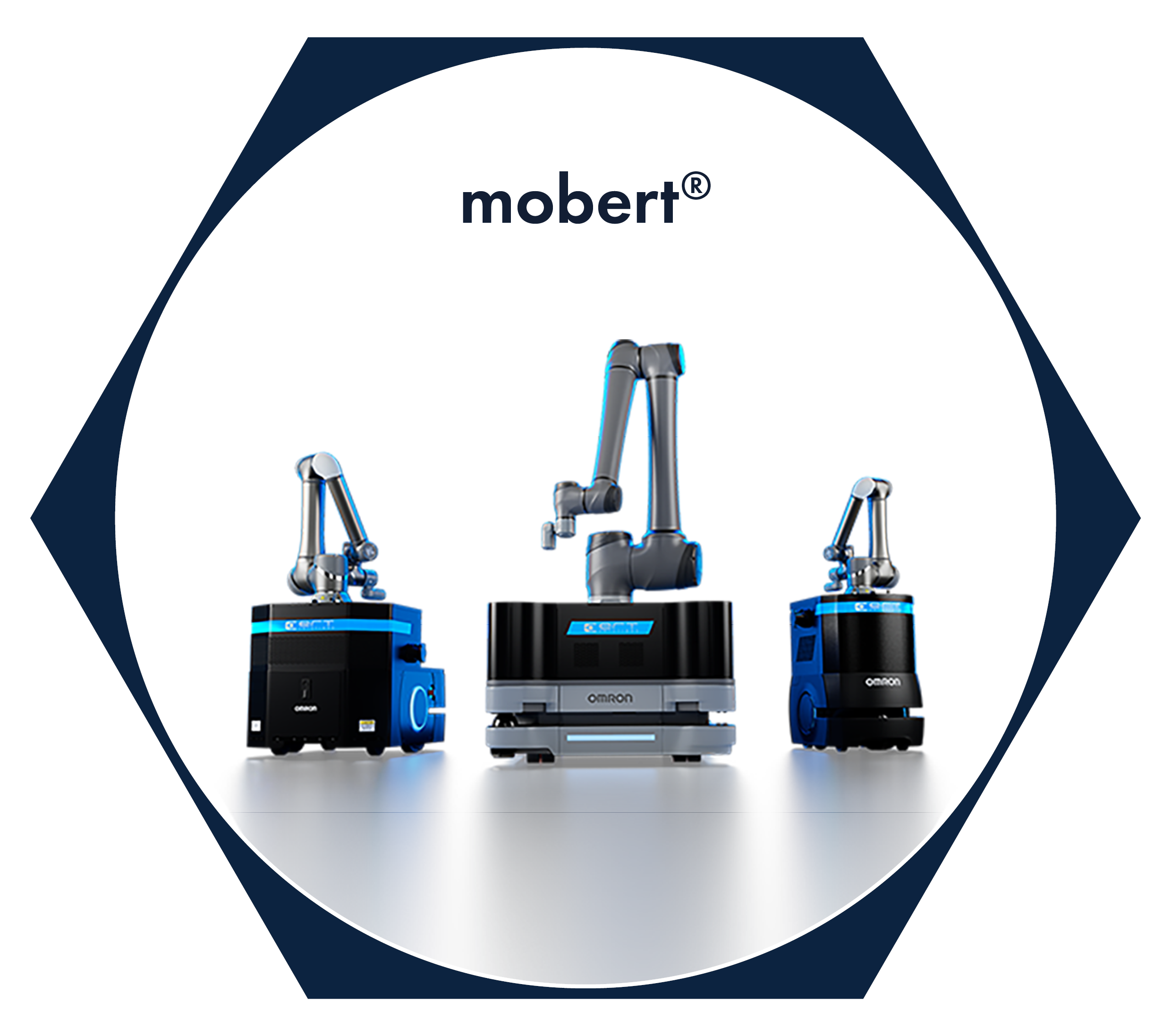 mobERT M25L Mobile Manipulator by ERT Solutions
