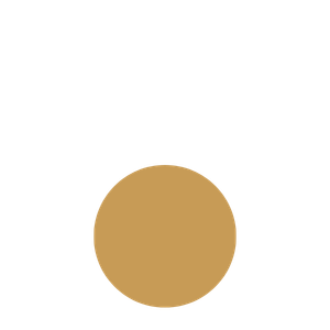 Bronze Service Package