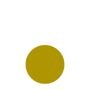 Gold Service Package