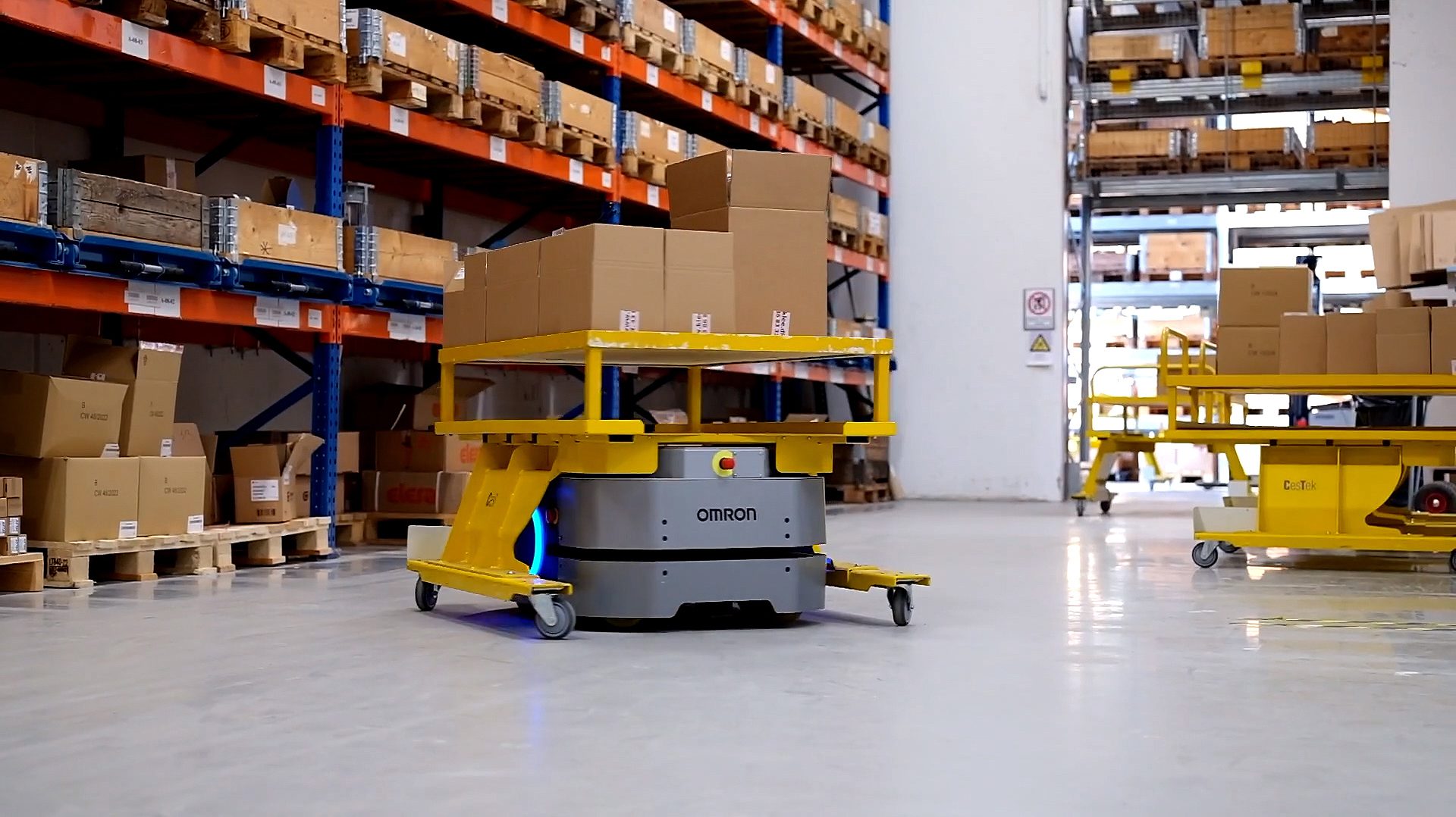Brd-Klee-LD-250-warehouse-cart
