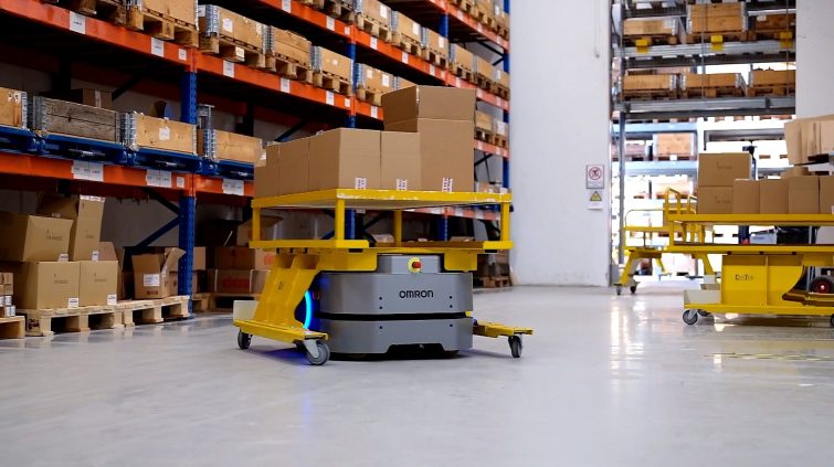 Brd-Klee-LD-250-warehouse-cart